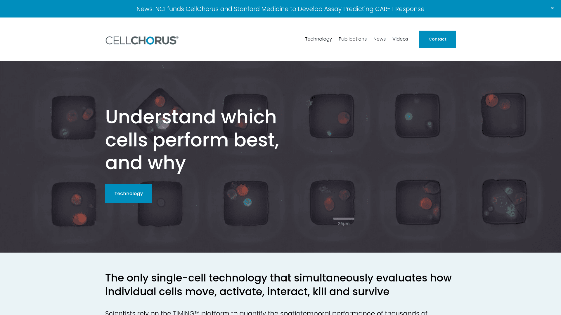 CellChorus screenshot