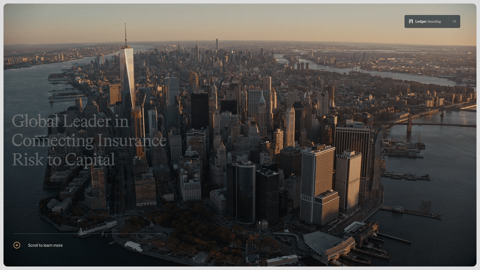 Ledger Investing screenshot