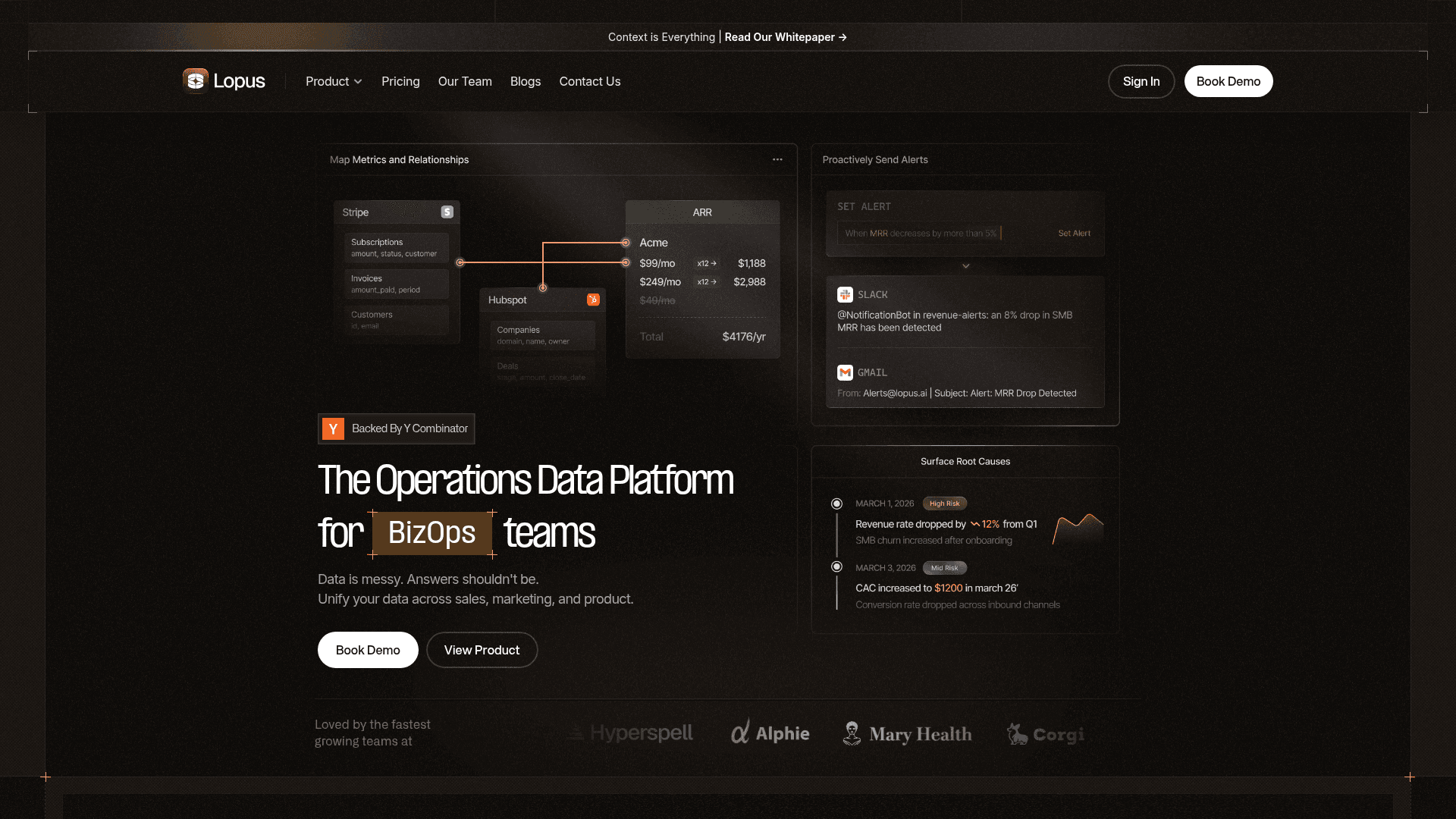Lopus AI screenshot