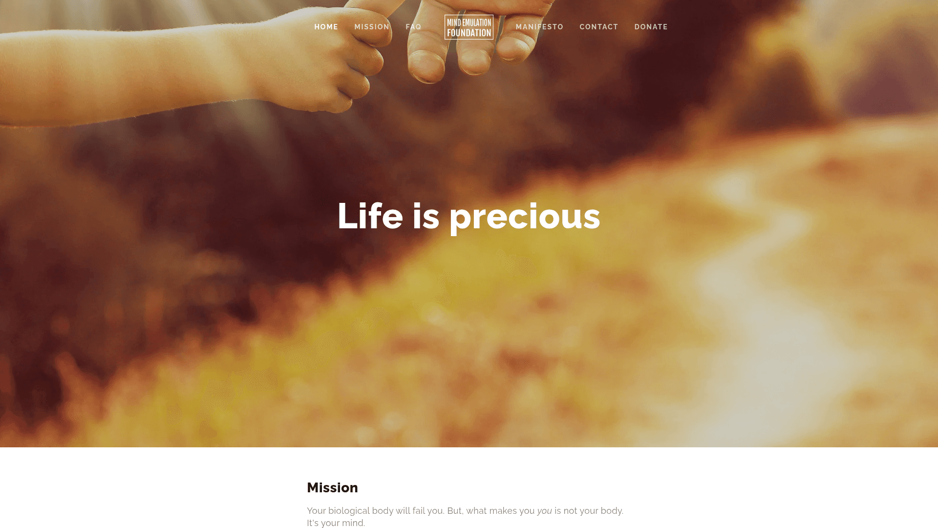 Mind Emulation Foundation screenshot