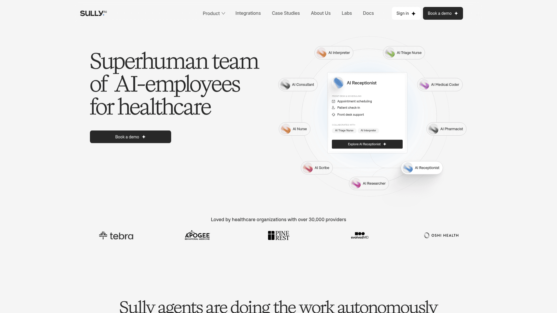 Sully.ai screenshot